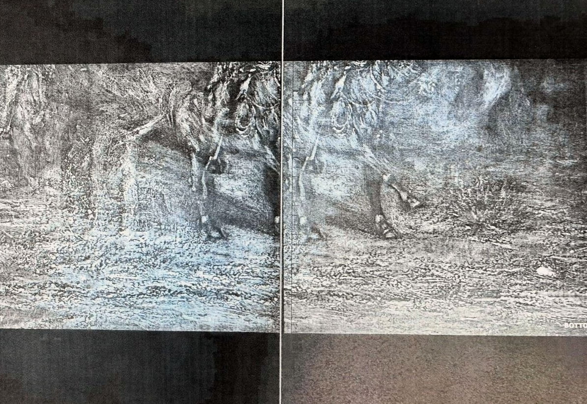 2024 X-ray radiograph &mdash; lower register